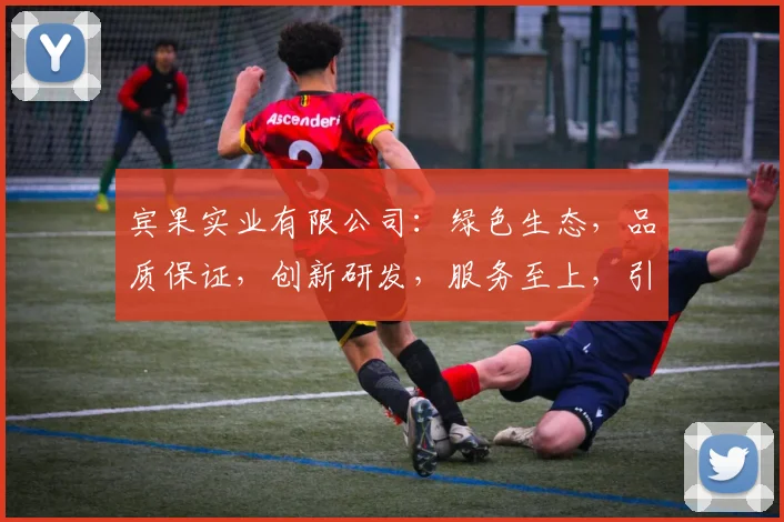 宾果实业有限公司：绿色生态，品质保证，创新研发，服务至上，引领果业新潮流