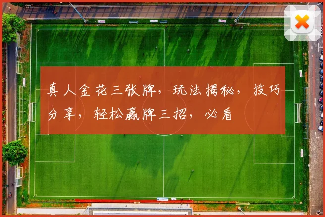 真人金花三张牌，玩法揭秘，技巧分享，轻松赢牌三招，必看